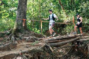 BIB: 
                            <button type="button" onclick="openModal(27558299)" class="btn btn-primary btn-sm float-right btn-popup" data-toggle="modal" data-target=".modal-high-quality">
                        <i class="fas fa-shopping-cart"></i> Add to Cart
                    </button>
                                            <button type="button" onclick="isThisMe(27558299, true)" class="btn btn-success btn-sm float-right btn-popup btn-isme hidden" data-toggle="tooltip" data-placement="bottom" title="นี่คือรูปของคุณใช่ไหม คลิกที่นี่เพื่อเอาเข้าอัลบั้ม">
                        <i class="fas fa-plus"></i> Add to album
                    </button>
                    <button type="button" onclick="isThisMe(27558299, false)" class="btn btn-warning btn-sm float-right btn-popup btn-isnotme hidden">
                        <i class="fas fa-ban"></i> Remove from album
                    </button>